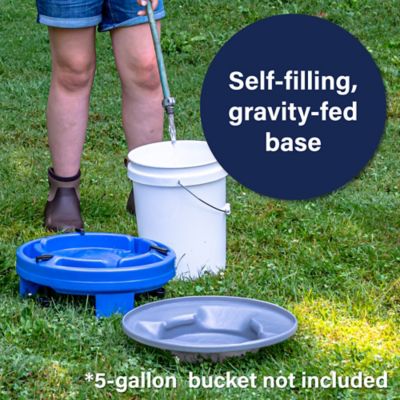 Image showing 6 th Simplay3 Farmstead Chicken Drinker