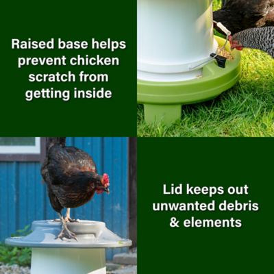 Image showing  Farmstead Chicken Feeder