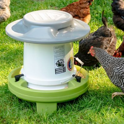 Image showing  Farmstead Chicken Feeder