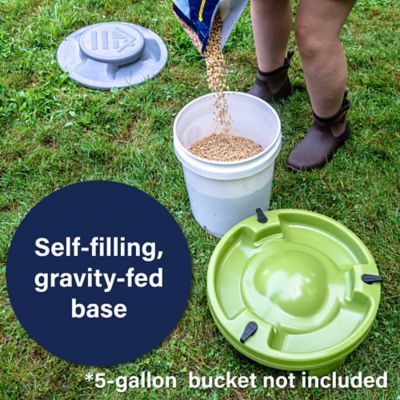 Image showing  Farmstead Chicken Feeder