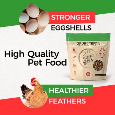 Image showing  Black Soldier Fly Larvae for Chickens - Dried BSFL Poultry Treat