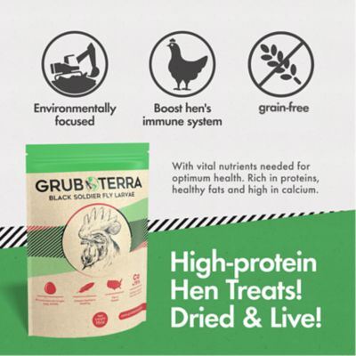 Image showing  Black Soldier Fly Larvae for Chickens - Dried BSFL Poultry Treat