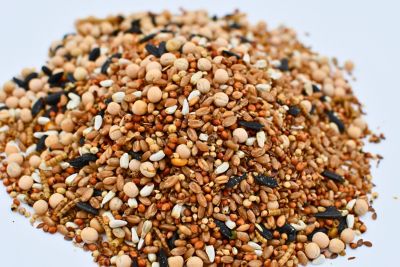 Image showing 1 th Little Farmer Products Scratchercise Soy-Free Chicken Scratch