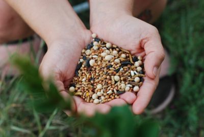 Image showing 2 th Little Farmer Products Scratchercise Soy-Free Chicken Scratch