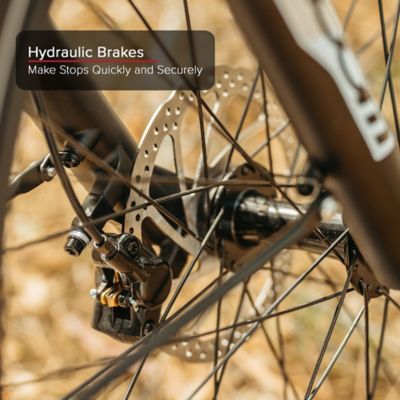 Image showing 3 th Coleman Powersports 750W Trail XL Electric Bike