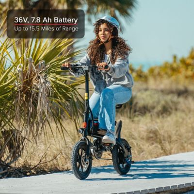 Image showing  250W Electric Small Bike