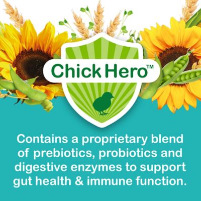 Image showing  Whole & Hearty Chick