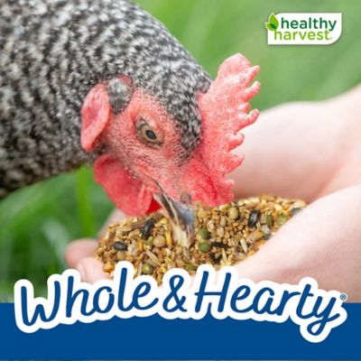 Image showing  Whole & Hearty Layer Crumbles