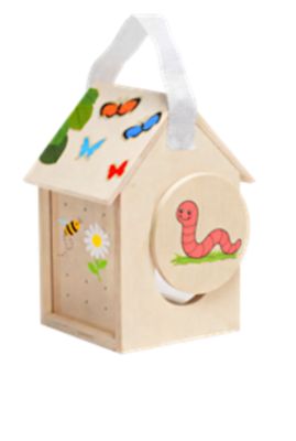 Kid-Built DIY Bug Box