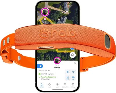 Halo Wireless Dog Fence System and GPS Dog Collar