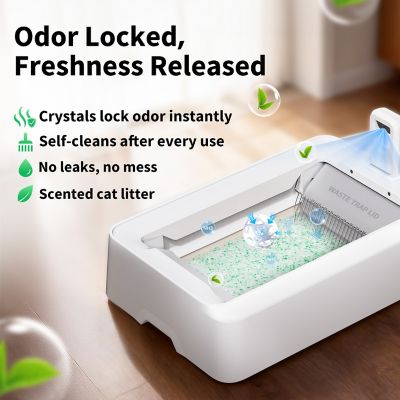 Image showing  Crystal Litter Set, Fresh Green, 4 pk.