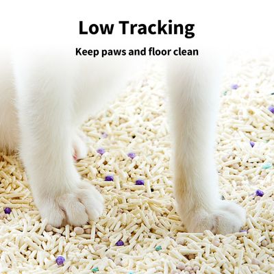 Image showing  Clump+ Tofu Mixed Cat Litter - 5.19 lb bag, case of 4
