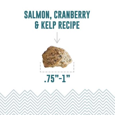 Image showing  Soft & Chewy Bites: Salmon & Cranberry, 2.8 oz.
