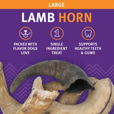 Image showing  Lamb Horn: Large - 12pk