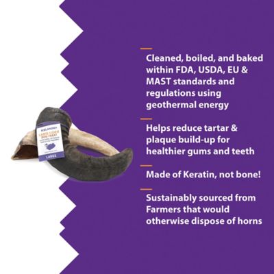 Image showing  Lamb Horn: Large - 12pk