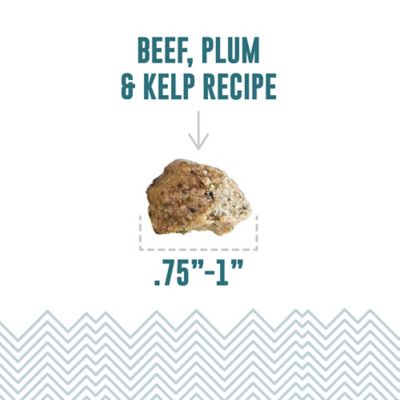 Image showing  Soft & Chewy Bites: Beef & Plum, 2.8 oz.