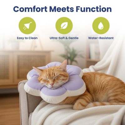 Image showing  Plush Flower Dog & Cat Recovery Collar, Purple