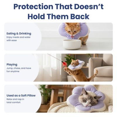 Image showing  Plush Flower Dog & Cat Recovery Collar, Purple