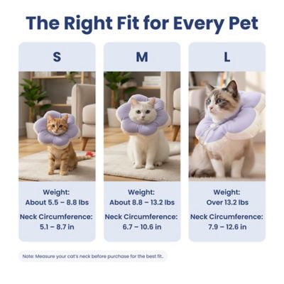 Image showing 5 th PawsPik Plush Flower Dog & Cat Recovery Collar, Purple