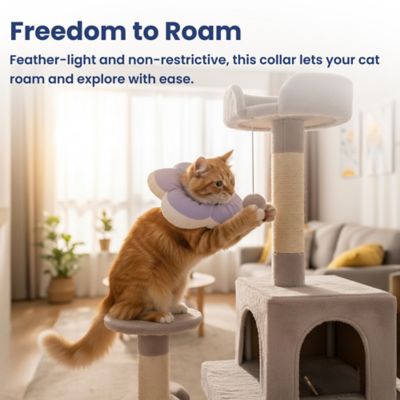 Image showing 8 th PawsPik Plush Flower Dog & Cat Recovery Collar, Purple