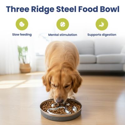 Image showing  Stainless Steel Three-Ridge Slow Feeder Dog Bowl