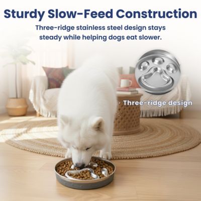 Image showing  Stainless Steel Three-Ridge Slow Feeder Dog Bowl