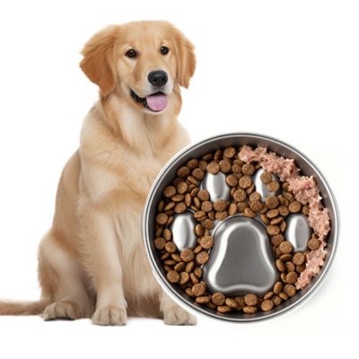 PawsPik Stainless Steel Four-Ridge Slow Feeder Dog Bowl