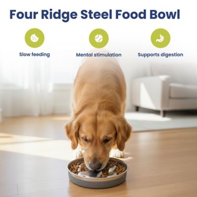 Image showing  Stainless Steel Four-Ridge Slow Feeder Dog Bowl