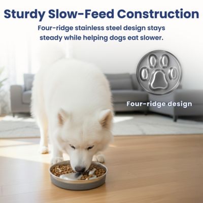 Image showing  Stainless Steel Four-Ridge Slow Feeder Dog Bowl