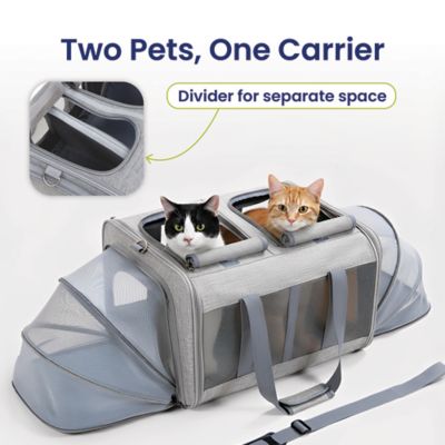 Image showing  Portable Dual-Pet Dog & Cat Carrier, Light Gray
