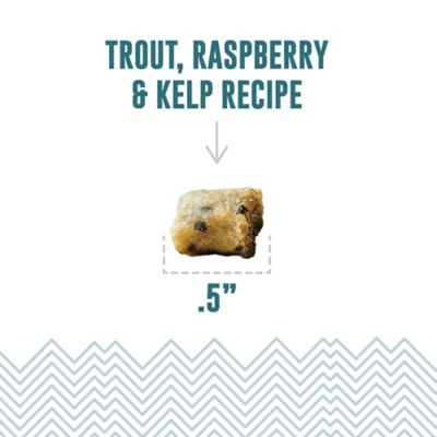 Image showing  Soft & Chewy Bites: Trout & Raspberry, 1.8 oz.