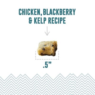 Image showing  Soft & Chewy Bites: Chicken & Blackberry, 1.8 oz.