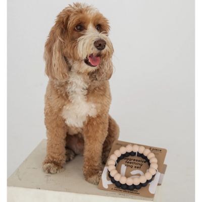 Image showing  Super Chew Rings: Beige & Black