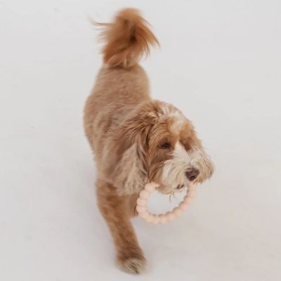Image showing  Super Chew Rings: Beige & Black