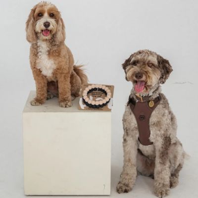 Image showing  Super Chew Rings: Beige & Black