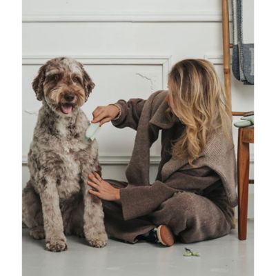 Image showing  Pet Grooming Brush: Wet & Dry