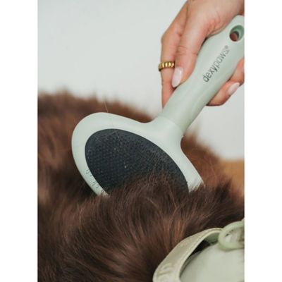 Image showing  Pet Slicker Brush: Medium