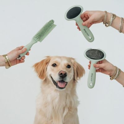Image showing  Pet Slicker Brush: Medium
