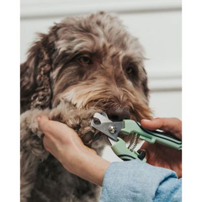 Image showing  Pet Nail Clipper: Small