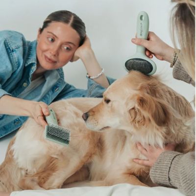 Image showing  Pet Slicker Brush, Soft