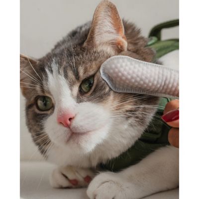 Image showing  Finger Wipes: Eyes, Ears, Nose - Cat - 100 ct.