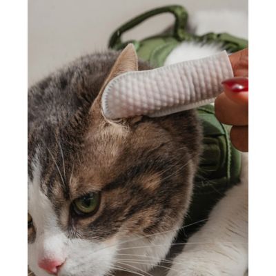 Image showing  Finger Wipes: Eyes, Ears, Nose - Cat - 100 ct.