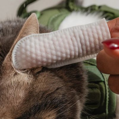 Image showing  Finger Wipes: Eyes, Ears, Nose - Cat - 100 ct.