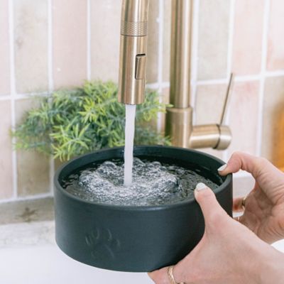 Image showing  Dog Bowl, 26 oz.
