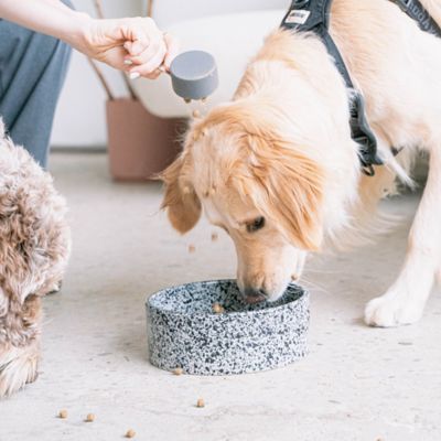 Image showing  Dog Bowl, 26 oz.
