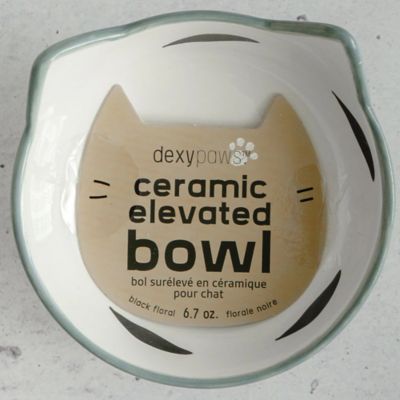 Image showing  Elevated Cat Bowl