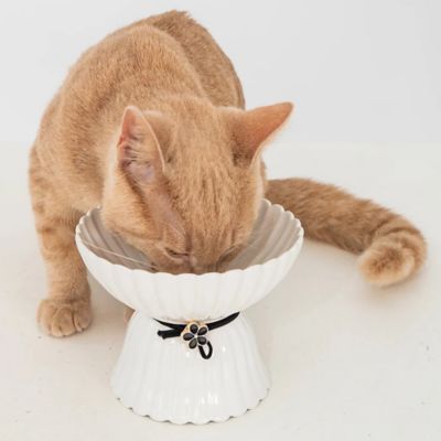 Image showing  Elevated Cat Bowl