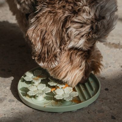 Image showing  Hide & Seek Slow Feeder