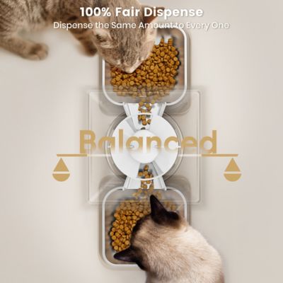 Image showing 2 th Oneisall PFD-002 Automatic Cat Feeder - 5L/20 Cups, Timed Dry Food Dispenser for 2 Cats, Indoor Pet Feeder