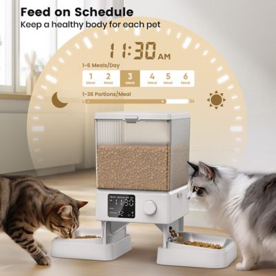 Image showing 4 th Oneisall PFD-002 Automatic Cat Feeder - 5L/20 Cups, Timed Dry Food Dispenser for 2 Cats, Indoor Pet Feeder